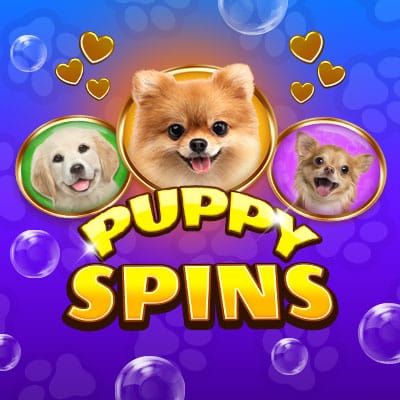 Puppy Spins thumbnail