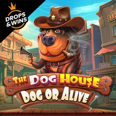 The Dog House – Dog or Alive thumbnail