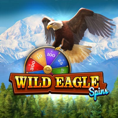 Wild Eagle spins thumbnail