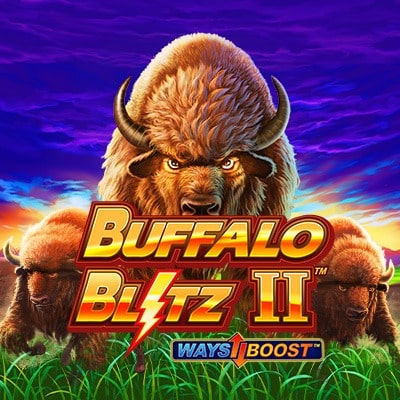 Buffalo Blitz 2 thumbnail